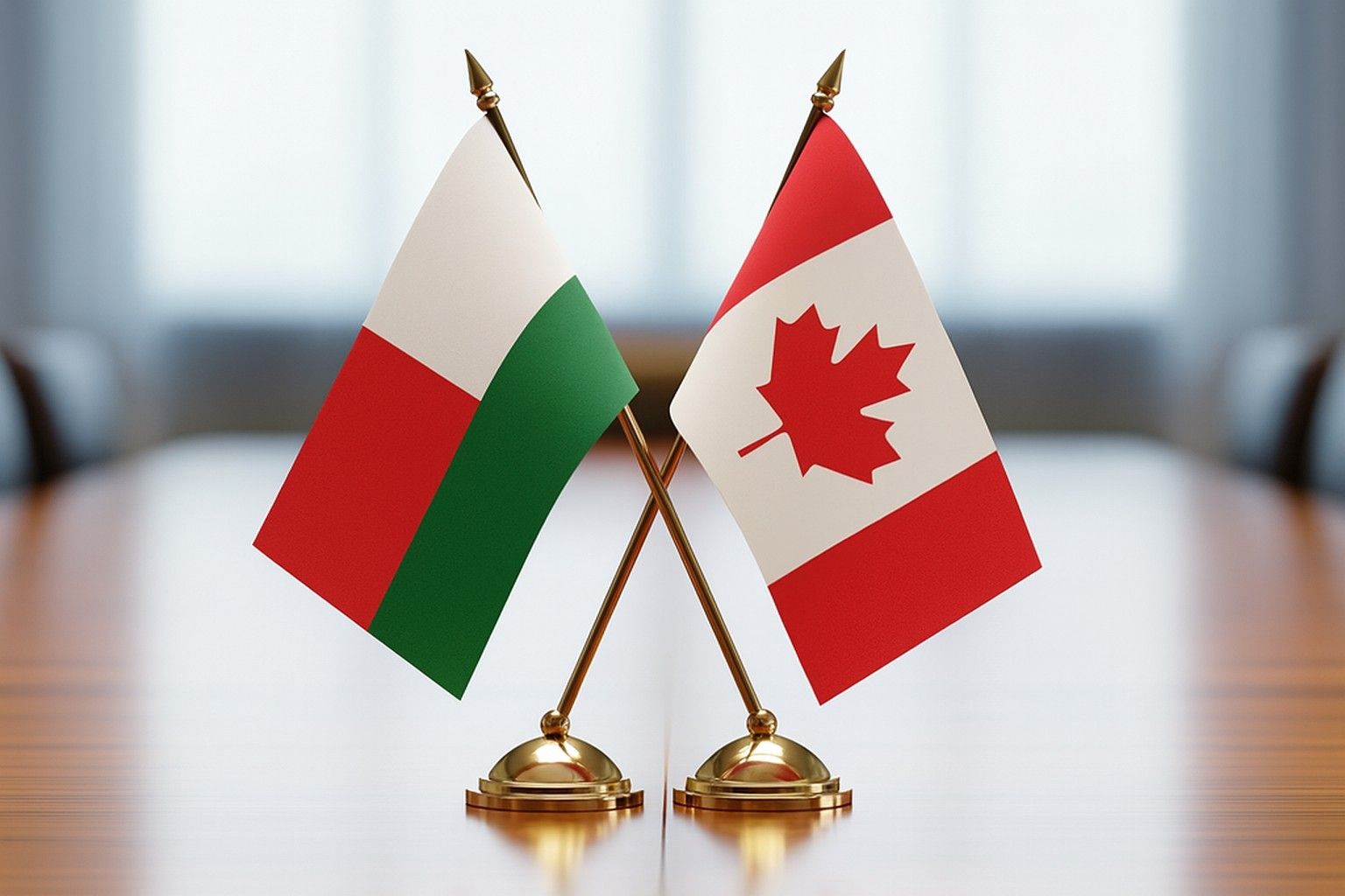 Drapeaux de Madagascar et du Canada croisés sur une table de réunion